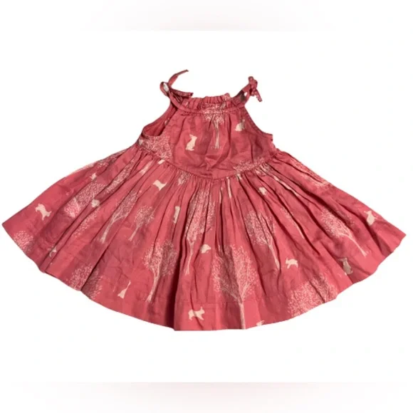 GAP Dresses Rare Beatrix Potter For Baby Gap Pink Print Dress